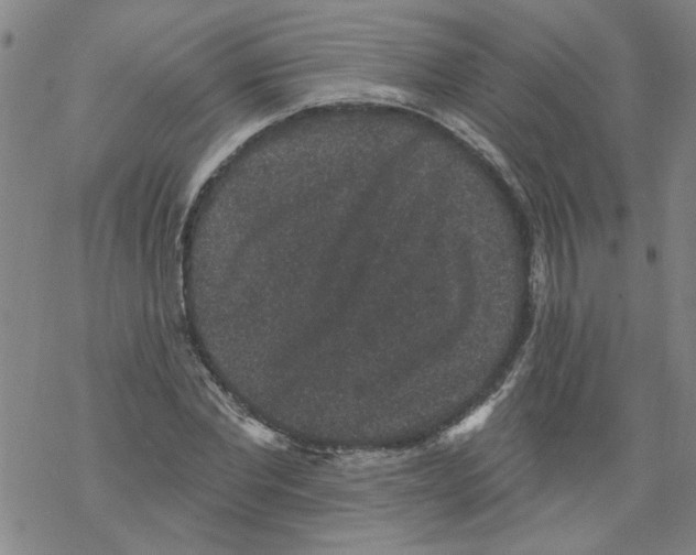 X0000067900877200605111914