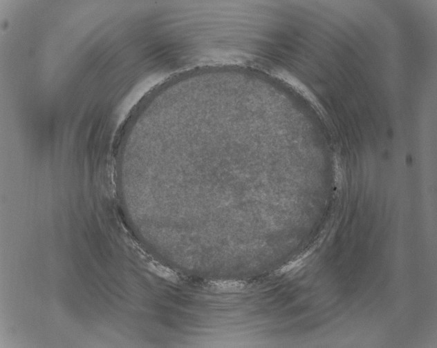 X0000067900878200605111914