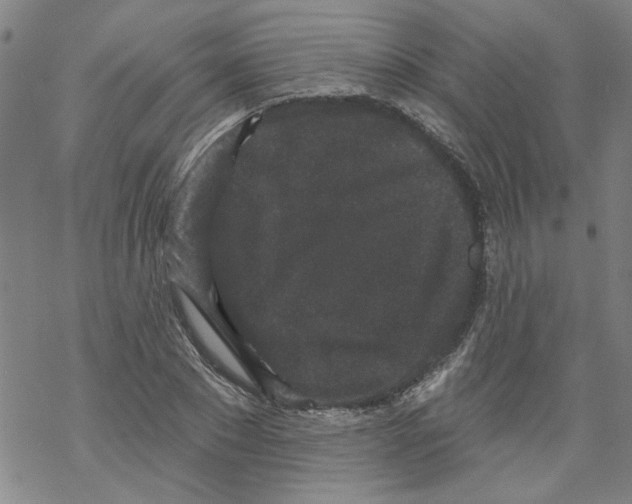 X0000067900881200605111914