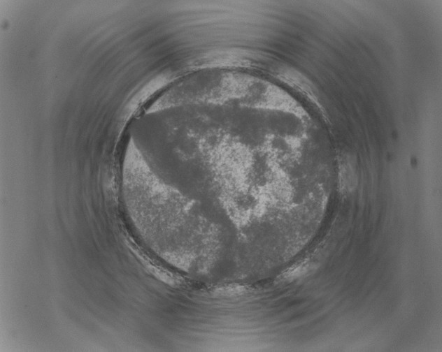 X0000067900882200605111914