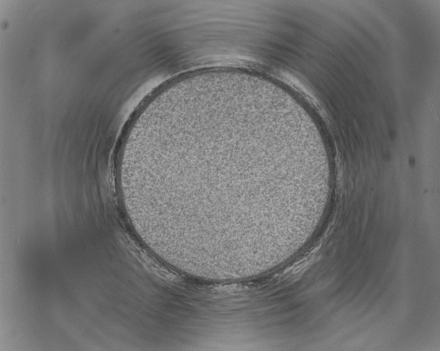 X0000067900883200605111914