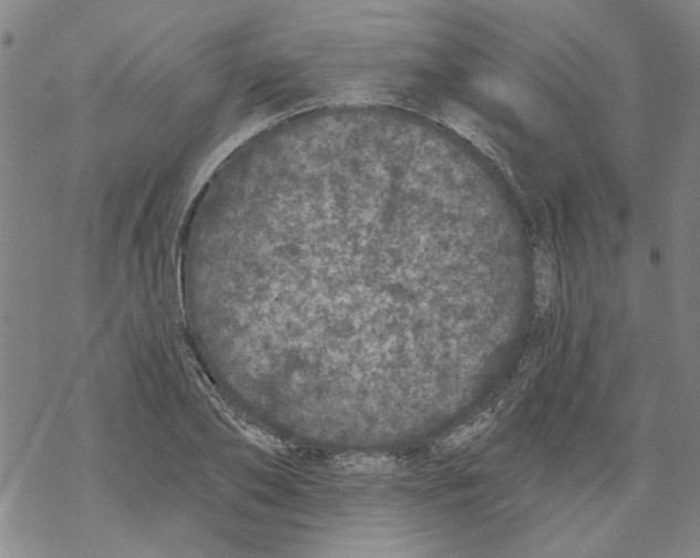 X0000067900886200605111914