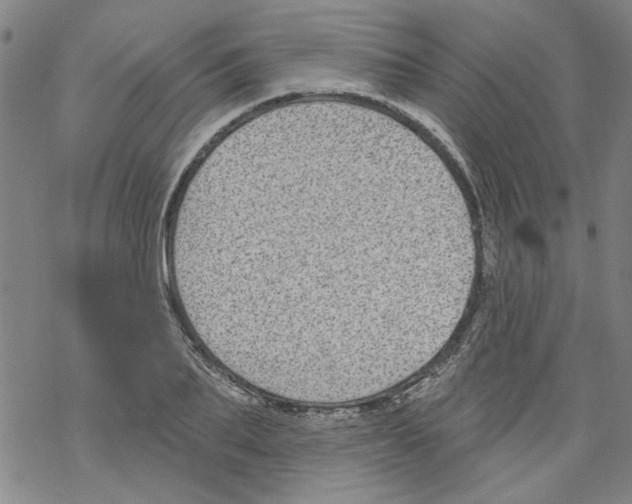 X0000067900887200605111914