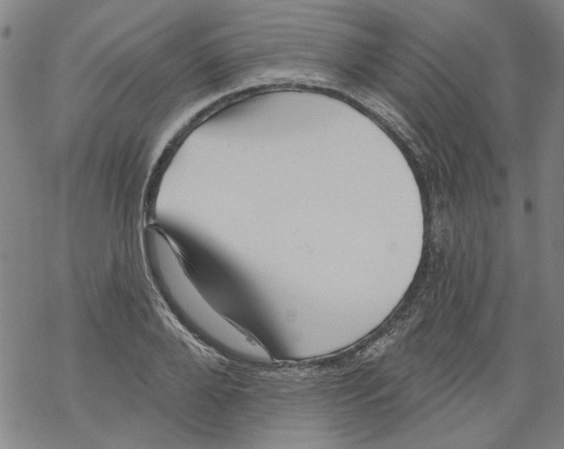 X0000067900888200605111914