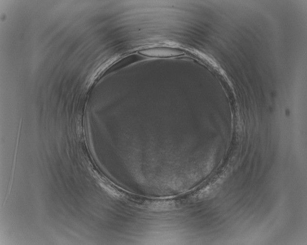 X0000067900889200605111914