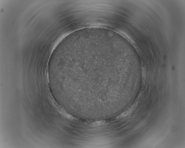 X0000067900891200605111914