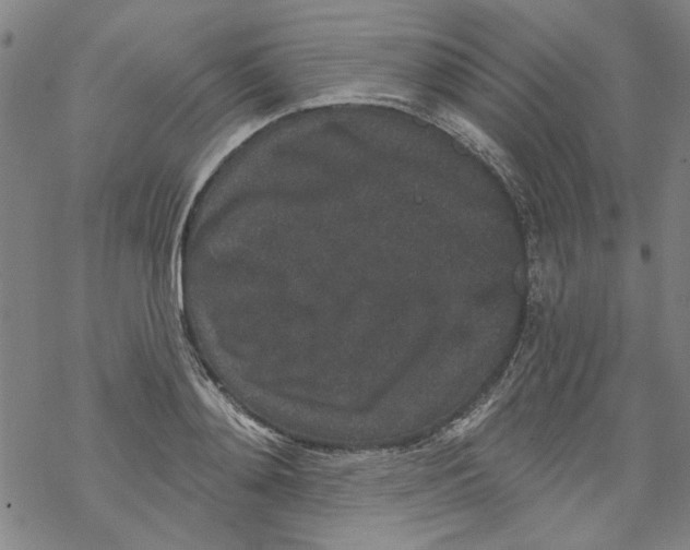 X0000067900892200605111914