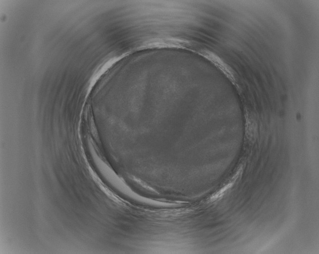 X0000067900893200605111914