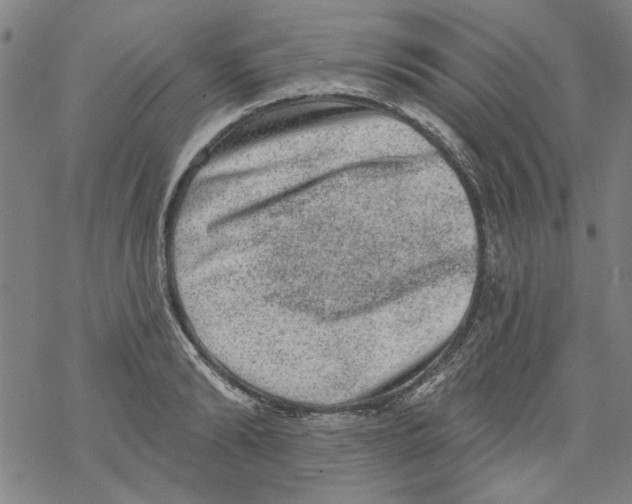 X0000067900894200605111914