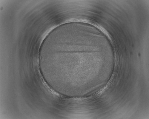 X0000067900896200605111914