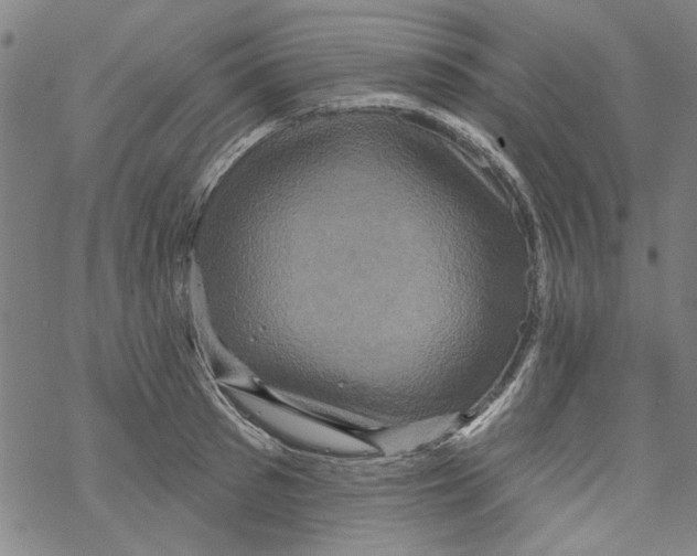 X0000067900897200605111914