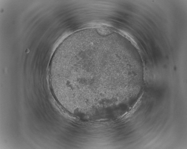 X0000067900899200605111914