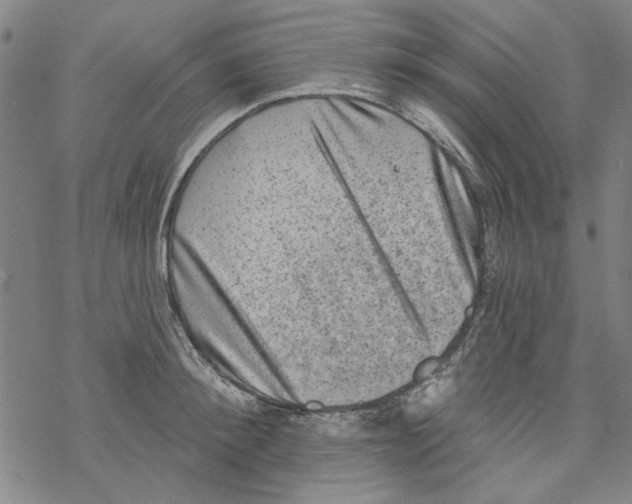 X0000067900900200605111914