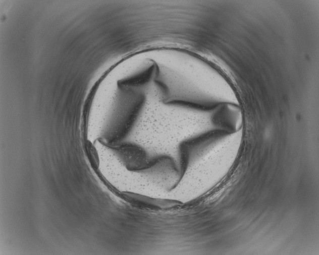 X0000067900902200605111914