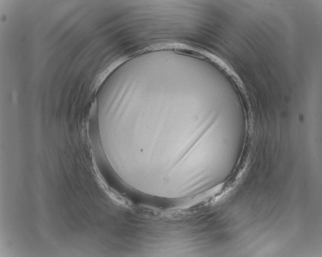 X0000067900905200605111914