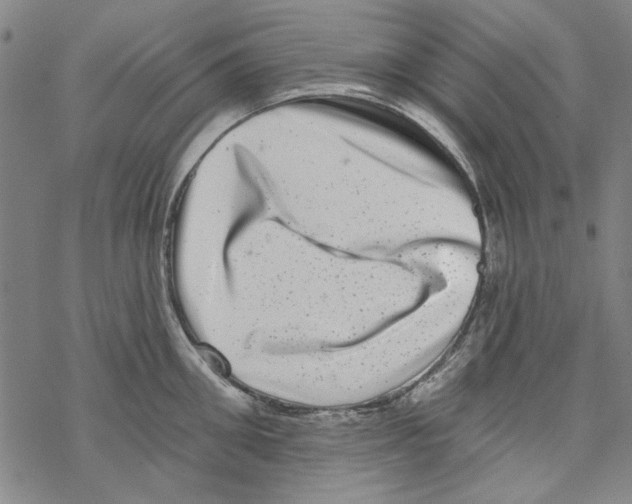 X0000067900906200605111914