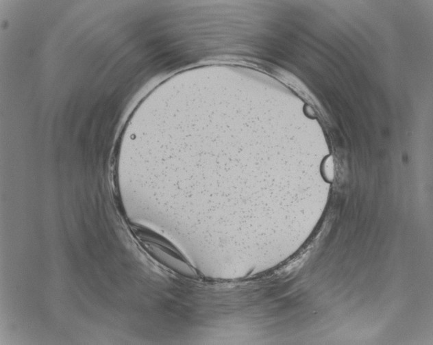 X0000067900908200605111914