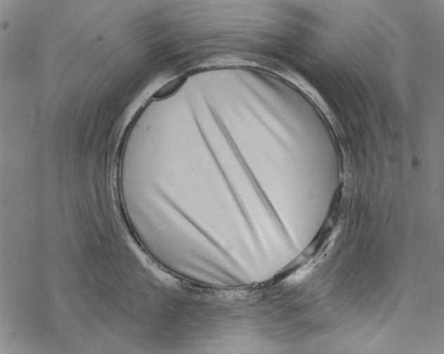 X0000067900909200605111914