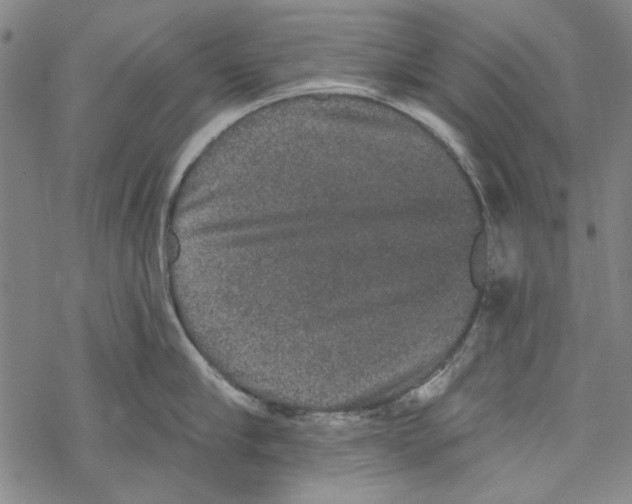 X0000067900910200605111914