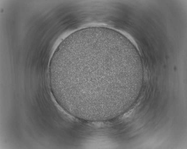 X0000067900911200605111914