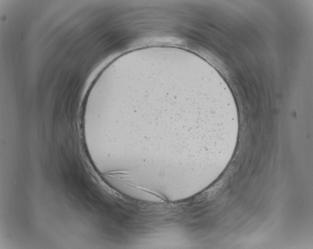 X0000067900912200605111914