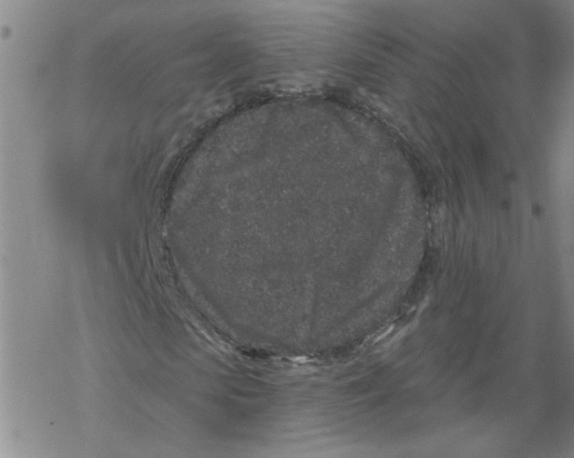 X0000067900913200605111913