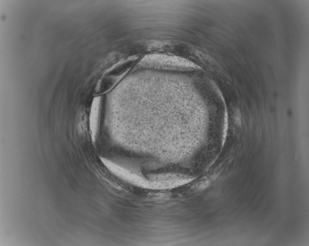 X0000067900914200605111913