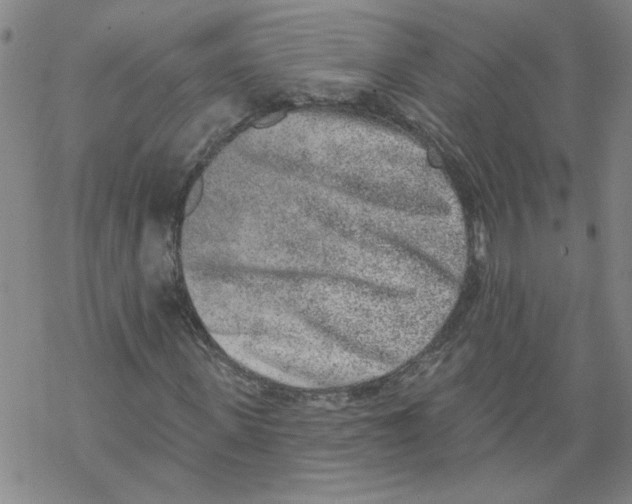 X0000067900915200605111913