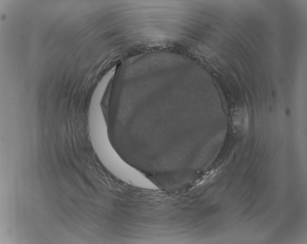 X0000067900916200605111913