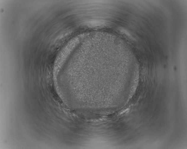 X0000067900917200605111913