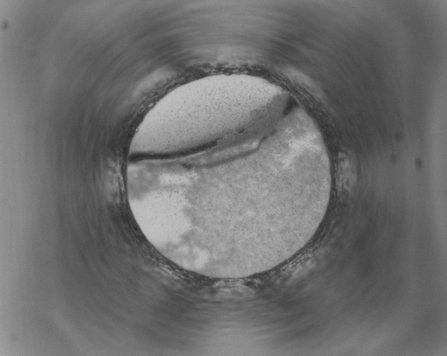 X0000067900918200605111913