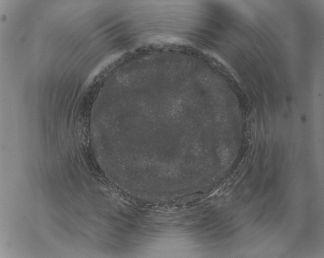 X0000067900919200605111913