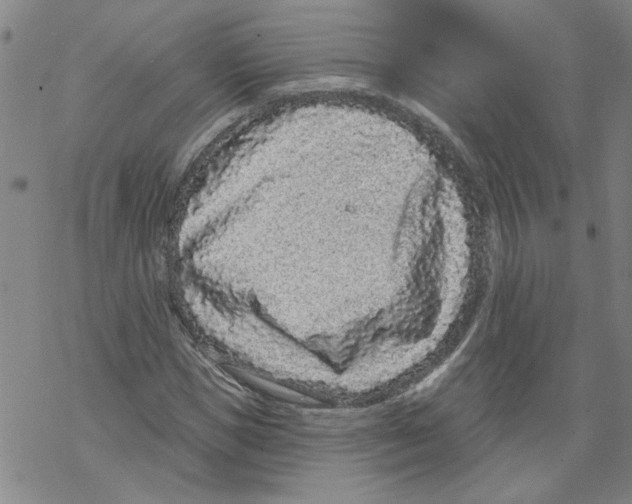 X0000067900921200605111913