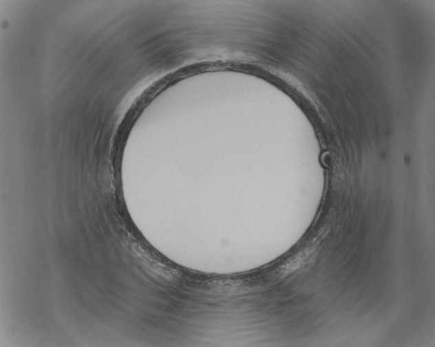 X0000067900927200605111913