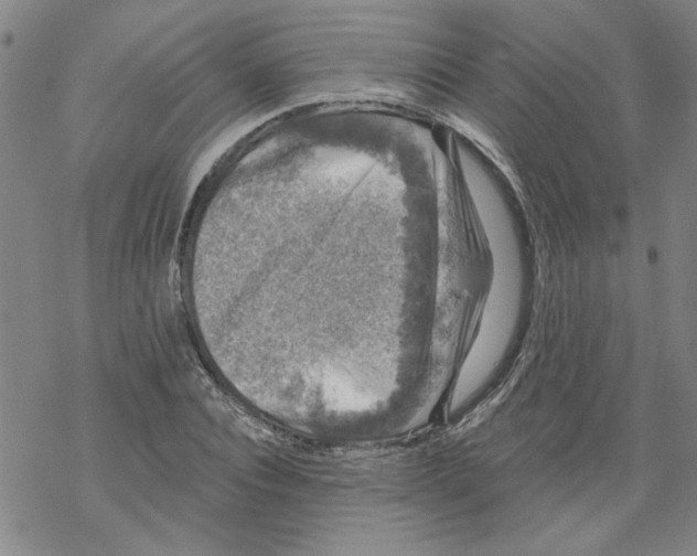 X0000067900928200605111913