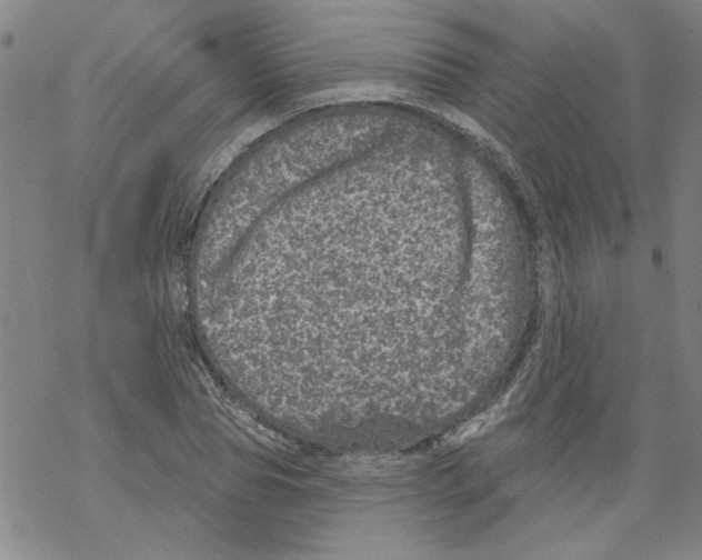 X0000067900929200605111913