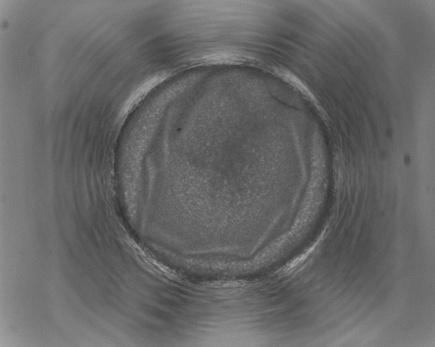 X0000067900930200605111913