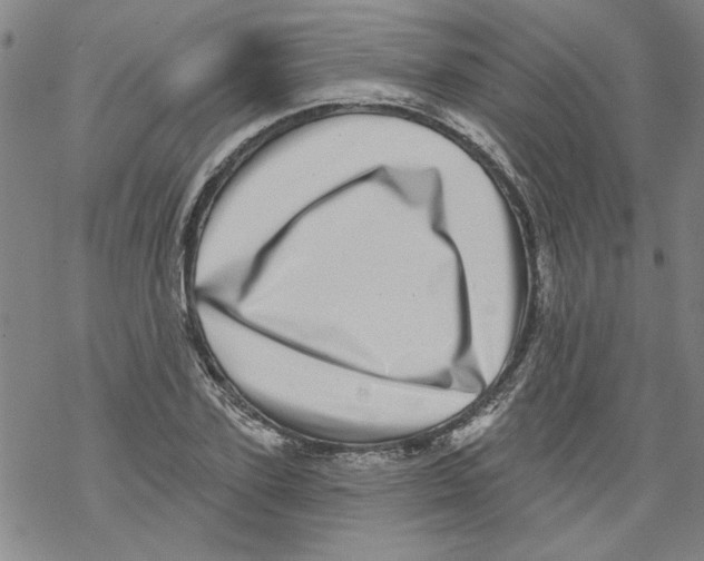 X0000067900931200605111913