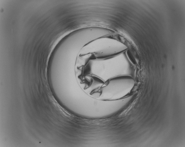 X0000067900932200605111913