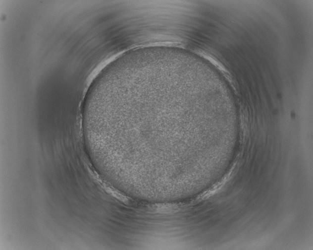 X0000067900933200605111913