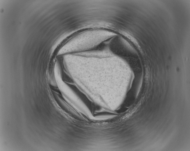 X0000067900936200605111913