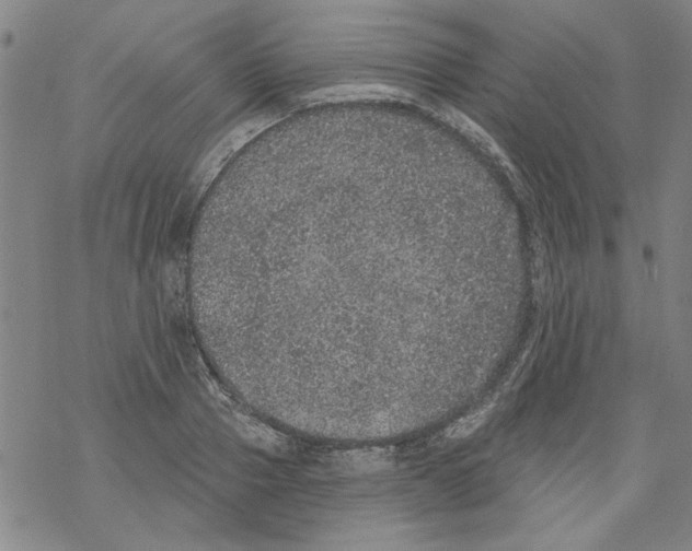 X0000067900937200605111913