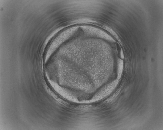 X0000067900939200605111913