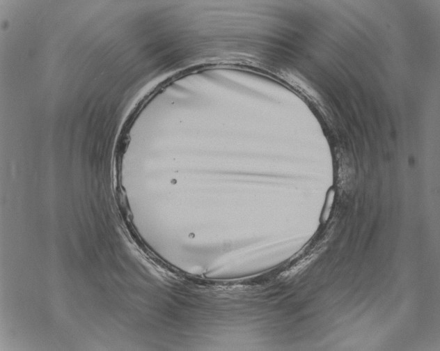 X0000067900940200605111913