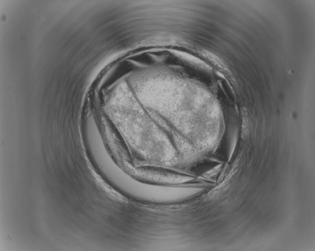 X0000067900942200605111913