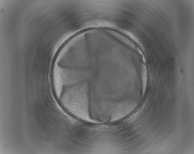 X0000067900943200605111913