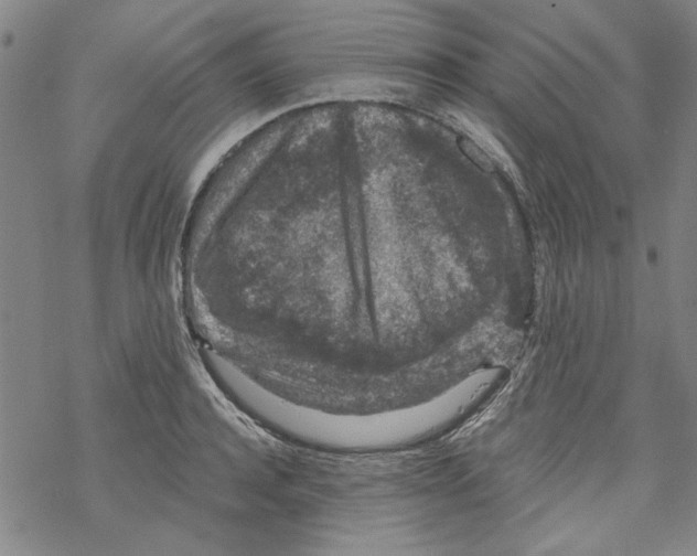 X0000067900944200605111913