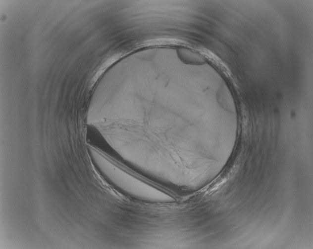 X0000067900945200605111914