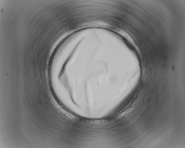 X0000067900947200605111914