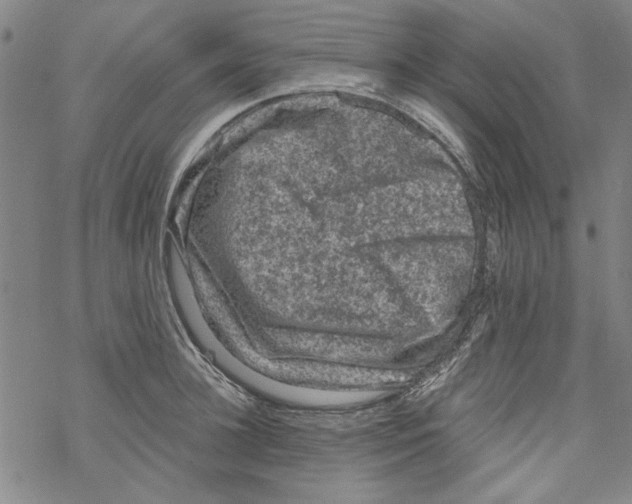 X0000067900948200605111914